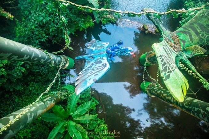 为了走体育之路,你会报考南京体育学院吗?——知识星球平台,深度分享学习交流